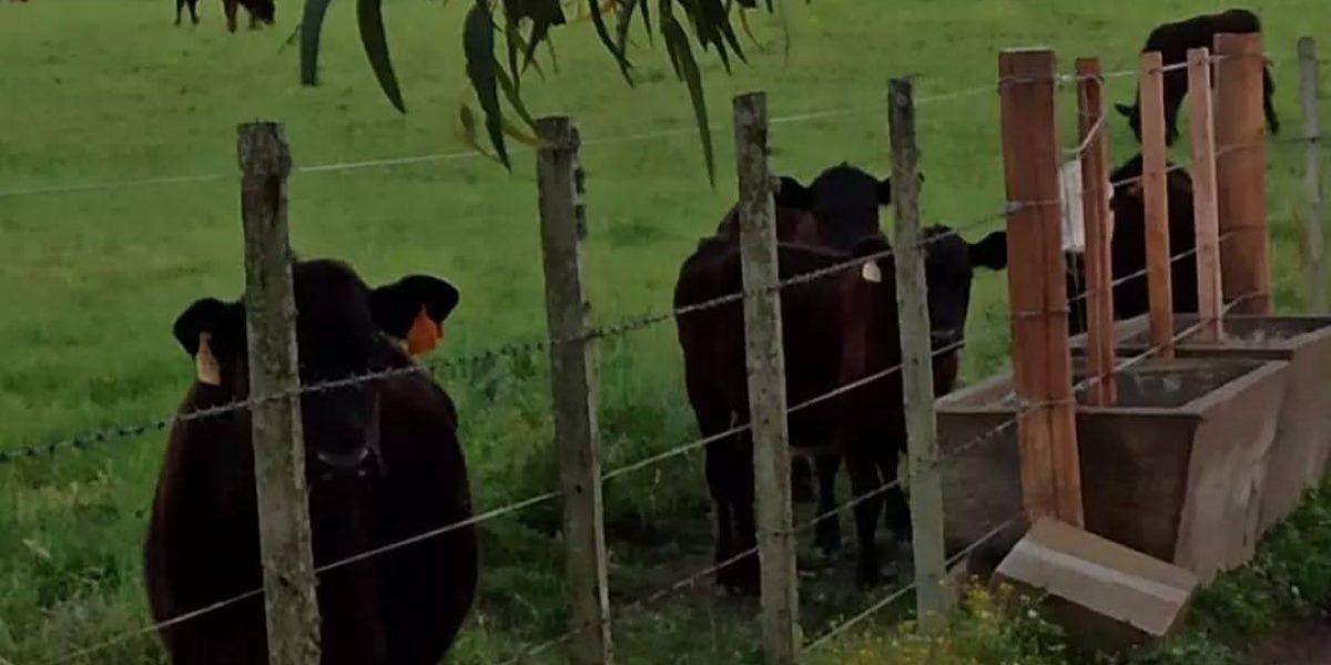 141c1465-743b-4f07-9752-d7812c38735d