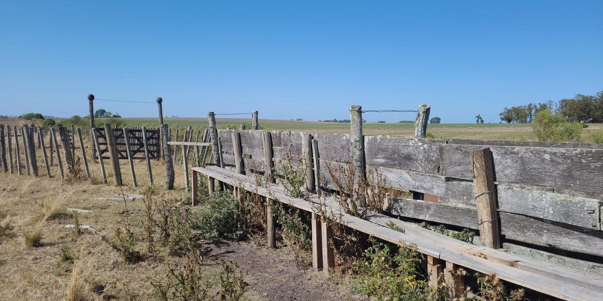 24e11961-22f7-40a2-a7c9-9f31ac475bc9