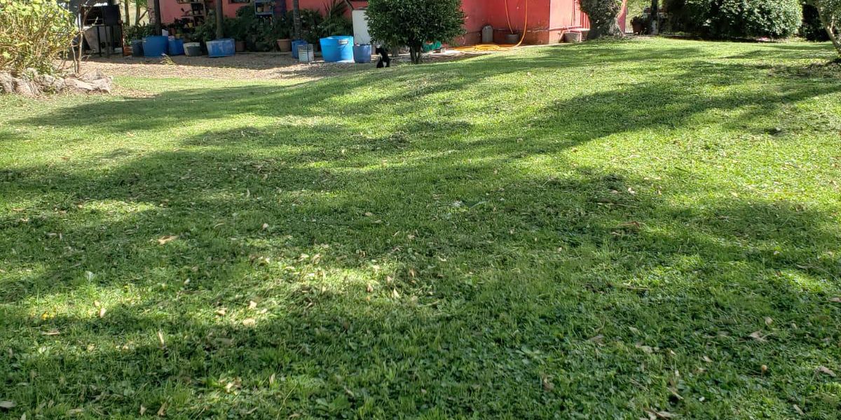 63f74b6a-0e1b-4b38-8e02-a51bf0d169bd