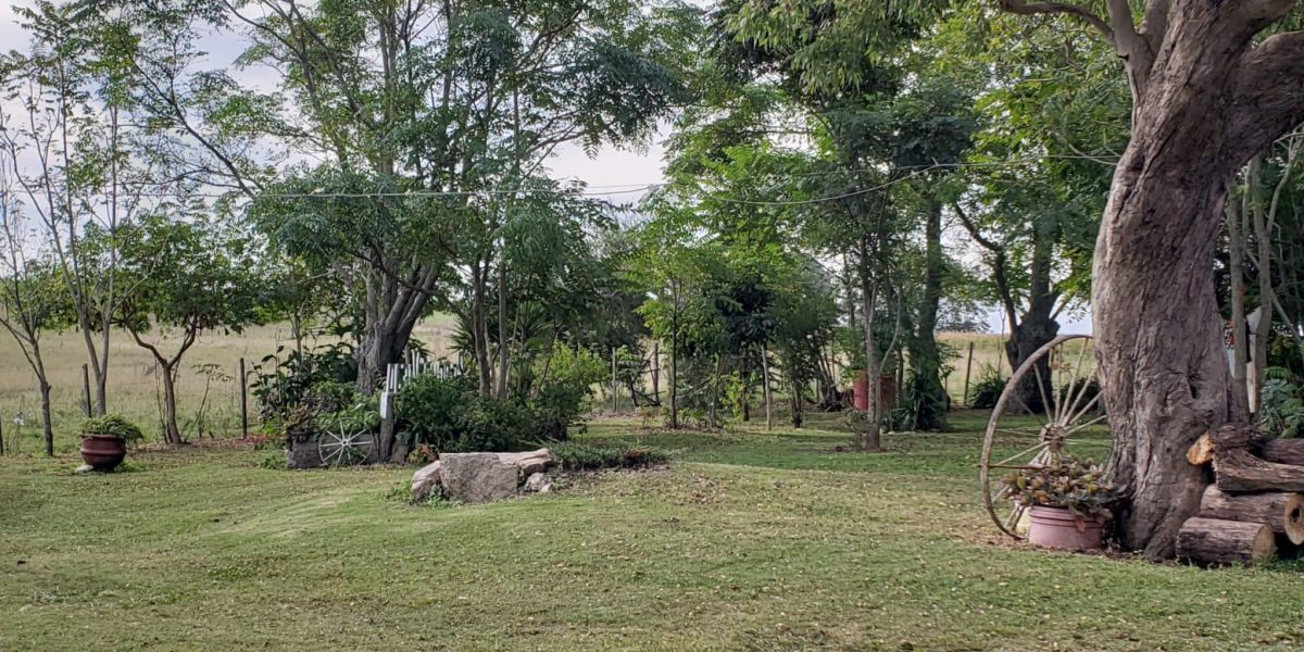 8b50d9f5-be8c-4593-ad78-b409472c6bc2