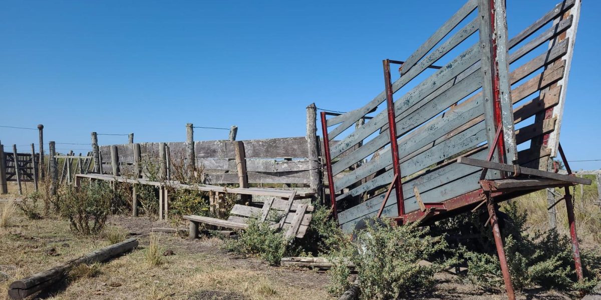 92b09a06-eb34-4d90-8167-73abb07af301