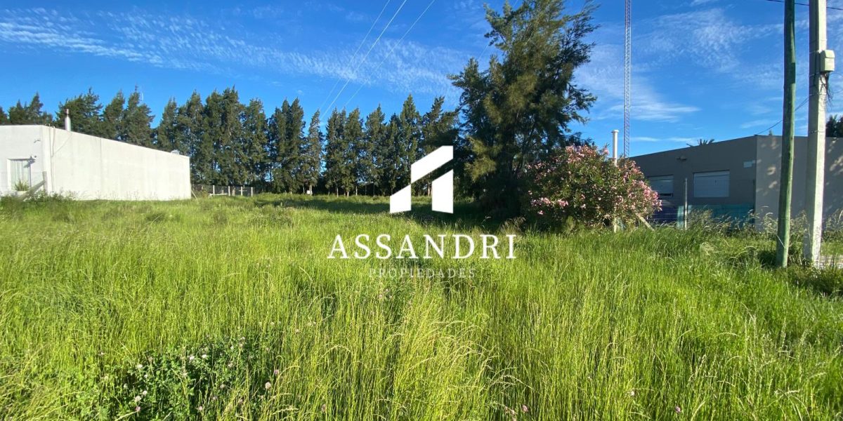 Imagen de WhatsApp 2025-10-24 a las 15.41.06_bc275301