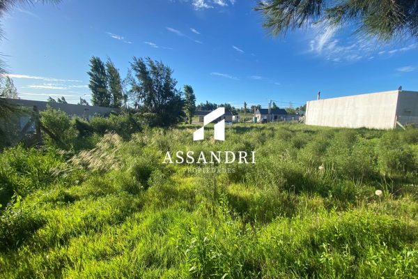 Imagen de WhatsApp 2025-10-24 a las 15.41.07_f5cbdedd