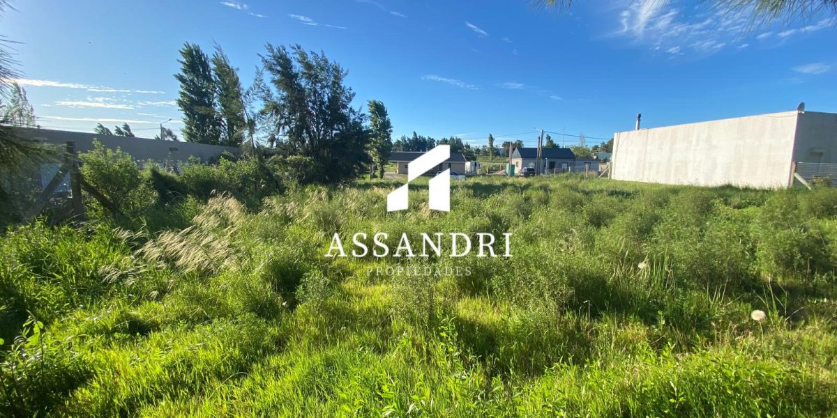 Imagen de WhatsApp 2025-10-24 a las 15.41.07_f5cbdedd