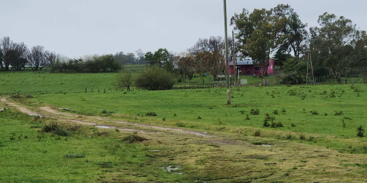 c4ae59dd-c079-4a27-ace9-8b446779cf19